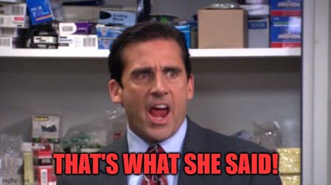 the office bankruptcy | THAT'S WHAT SHE SAID! | image tagged in the office bankruptcy | made w/ Imgflip meme maker