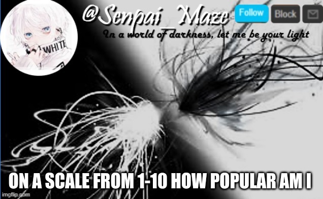 soups temp | ON A SCALE FROM 1-10 HOW POPULAR AM I | image tagged in soups temp | made w/ Imgflip meme maker
