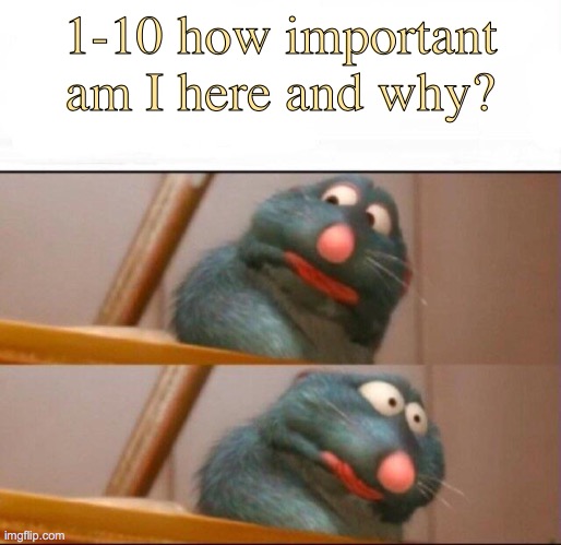 Remy sick | 1-10 how important am I here and why? | image tagged in remy sick | made w/ Imgflip meme maker