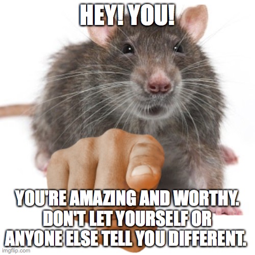 RatPointing Alternate | HEY! YOU! YOU'RE AMAZING AND WORTHY. DON'T LET YOURSELF OR ANYONE ELSE TELL YOU DIFFERENT. | image tagged in ratpointing alternate | made w/ Imgflip meme maker
