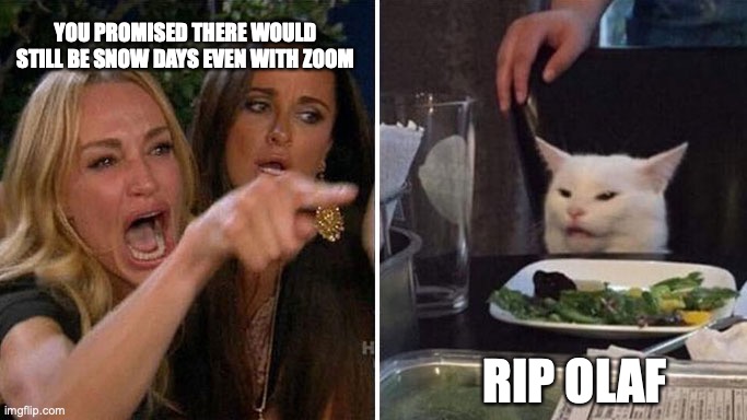 Zoom Killed Snow Days | YOU PROMISED THERE WOULD STILL BE SNOW DAYS EVEN WITH ZOOM; RIP OLAF | image tagged in angry lady cat | made w/ Imgflip meme maker