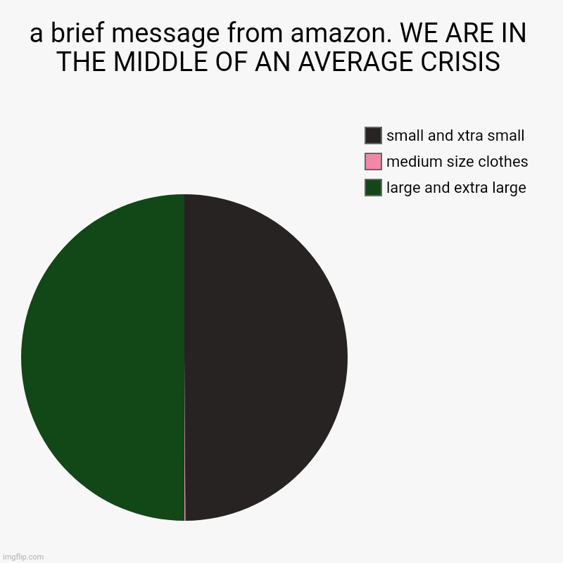 inventory alert | a brief message from amazon. WE ARE IN THE MIDDLE OF AN AVERAGE CRISIS | large and extra large, medium size clothes, small and xtra small | image tagged in charts,pie charts | made w/ Imgflip chart maker