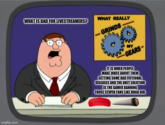 Peter Griffin News Meme | WHAT IS BAD FOR LIVESTREAMERS? IT IS WHEN PEOPLE MAKE JOKES ABOUT THEM GETTING SOME BAD FICTIONAL DISEASES AND THE ONLY SOLUTION IS THE GAMER BANNING THOSE STUPID FANS LIKE NINJA DID. | image tagged in memes,peter griffin news,ninja cat | made w/ Imgflip meme maker