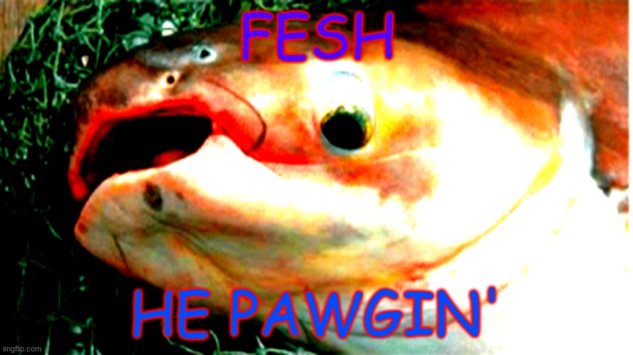 FESH | FESH; HE PAWGIN' | image tagged in fesh | made w/ Imgflip meme maker