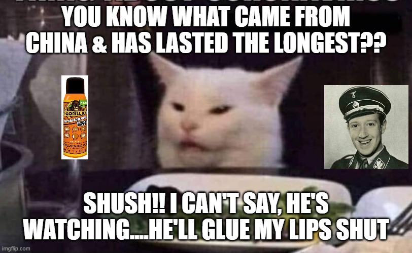 cat gorilla glue | YOU KNOW WHAT CAME FROM CHINA & HAS LASTED THE LONGEST?? SHUSH!! I CAN'T SAY, HE'S WATCHING....HE'LL GLUE MY LIPS SHUT | image tagged in funny | made w/ Imgflip meme maker