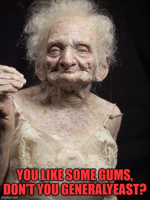 Sexy old woman | YOU LIKE SOME GUMS, DON'T YOU GENERALYEAST? | image tagged in sexy old woman | made w/ Imgflip meme maker