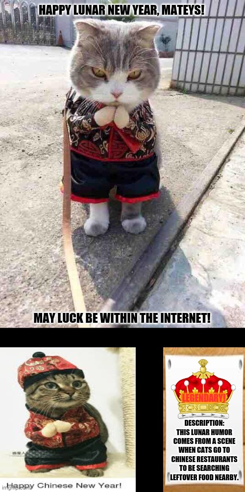 Chinese New Year Kitty | HAPPY LUNAR NEW YEAR, MATEYS! MAY LUCK BE WITHIN THE INTERNET! LEGENDARY! DESCRIPTION: THIS LUNAR HUMOR COMES FROM A SCENE WHEN CATS GO TO CHINESE RESTAURANTS TO BE SEARCHING LEFTOVER FOOD NEARBY. | image tagged in memes,funny cats,chinese new year | made w/ Imgflip meme maker