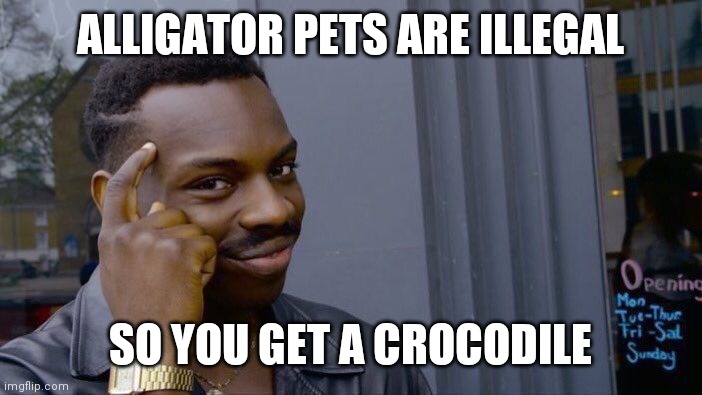 Roll Safe Think About It Meme | ALLIGATOR PETS ARE ILLEGAL; SO YOU GET A CROCODILE | image tagged in memes,roll safe think about it | made w/ Imgflip meme maker