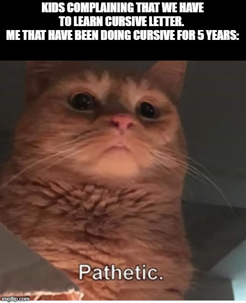 Pathetic cat gof | KIDS COMPLAINING THAT WE HAVE TO LEARN CURSIVE LETTER. 
ME THAT HAVE BEEN DOING CURSIVE FOR 5 YEARS: | image tagged in pathetic cat gof | made w/ Imgflip meme maker