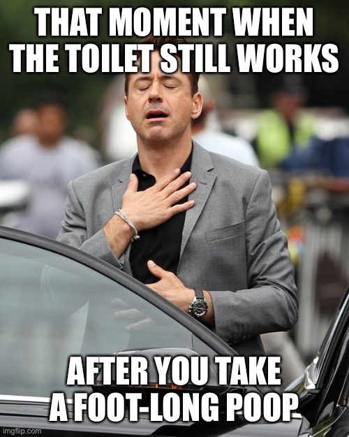 Relief | THAT MOMENT WHEN THE TOILET STILL WORKS; AFTER YOU TAKE A FOOT-LONG POOP | image tagged in relief | made w/ Imgflip meme maker