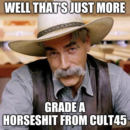 SARCASM COWBOY | WELL THAT'S JUST MORE GRADE A HORSESHIT FROM CULT45 | image tagged in sarcasm cowboy | made w/ Imgflip meme maker
