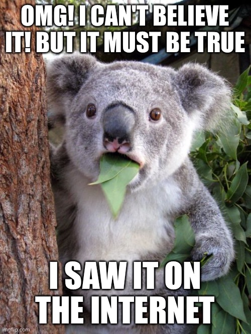 It must be true I saw it on the internet | OMG! I CAN'T BELIEVE IT! BUT IT MUST BE TRUE; I SAW IT ON THE INTERNET | image tagged in shocked koala,funny,memes,meme,funny memes,funny meme | made w/ Imgflip meme maker
