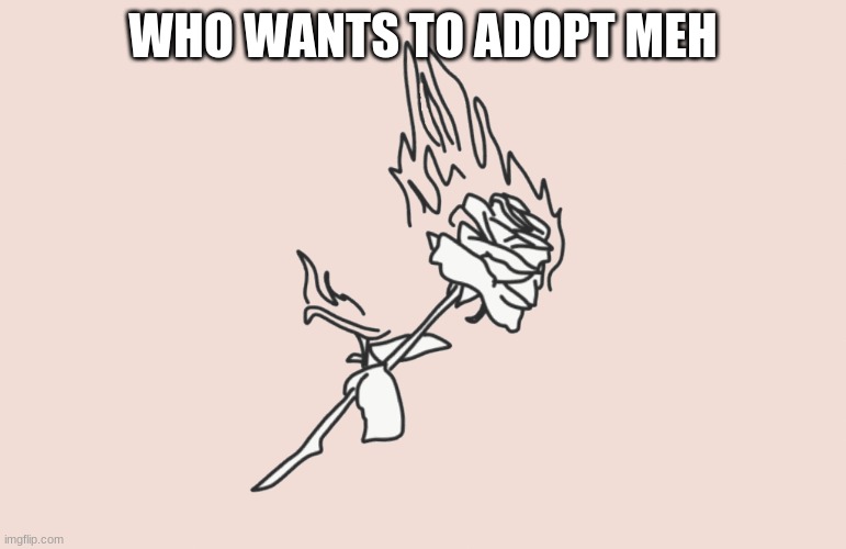 burning rose | WHO WANTS TO ADOPT MEH | image tagged in burning rose | made w/ Imgflip meme maker