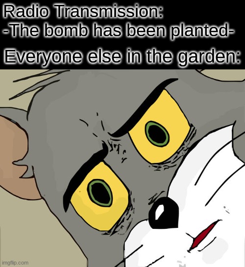 I wonder what seeds he used |  Radio Transmission: -The bomb has been planted-; Everyone else in the garden: | image tagged in memes,unsettled tom | made w/ Imgflip meme maker