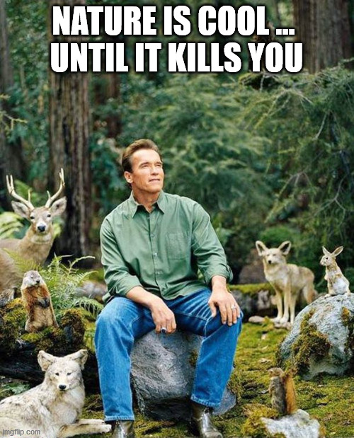 Arnold nature | NATURE IS COOL ... 
UNTIL IT KILLS YOU | image tagged in arnold nature | made w/ Imgflip meme maker