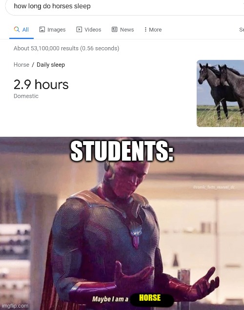 STUDENTS:; HORSE | image tagged in maybe i am a monster blank | made w/ Imgflip meme maker