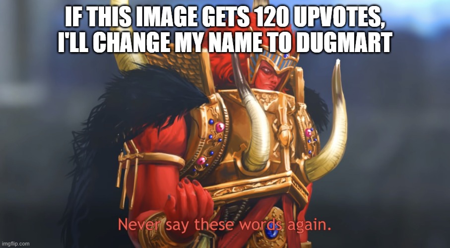 Never say these words again | IF THIS IMAGE GETS 120 UPVOTES, I'LL CHANGE MY NAME TO DUGMART | image tagged in never say these words again | made w/ Imgflip meme maker