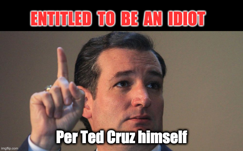 People are entitled to be idiots per Ted Cruz | ENTITLED  TO  BE  AN  IDIOT; Per Ted Cruz himself | image tagged in ted cruz | made w/ Imgflip meme maker