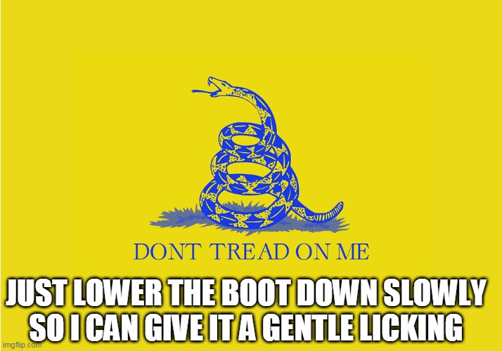 dont tread on me | JUST LOWER THE BOOT DOWN SLOWLY SO I CAN GIVE IT A GENTLE LICKING | image tagged in tread | made w/ Imgflip meme maker