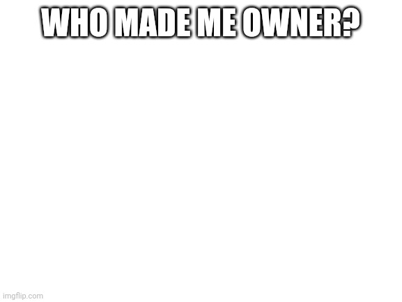 Who did it? | WHO MADE ME OWNER? | image tagged in blank white template | made w/ Imgflip meme maker