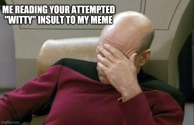 Captain Picard Facepalm | ME READING YOUR ATTEMPTED "WITTY" INSULT TO MY MEME | image tagged in memes,captain picard facepalm | made w/ Imgflip meme maker