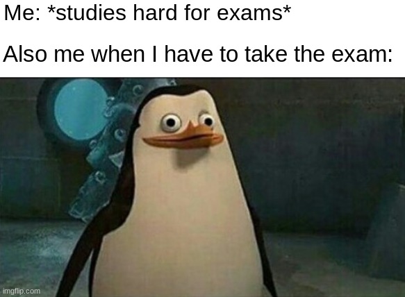 Confused Private Penguin | Me: *studies hard for exams*; Also me when I have to take the exam: | image tagged in confused private penguin,school,memes,funny,exam | made w/ Imgflip meme maker