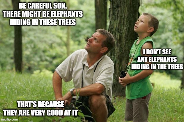Father and son  | BE CAREFUL SON, THERE MIGHT BE ELEPHANTS HIDING IN THESE TREES; I DON'T SEE ANY ELEPHANTS HIDING IN THE TREES; THAT'S BECAUSE THEY ARE VERY GOOD AT IT | image tagged in father and son | made w/ Imgflip meme maker