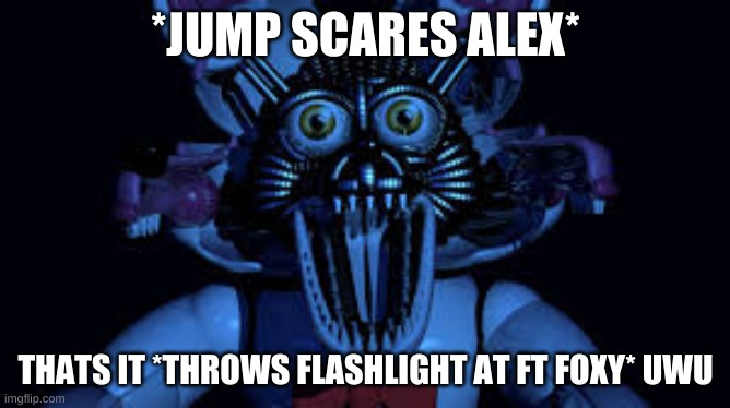 FoXy | *JUMP SCARES ALEX*; THATS IT *THROWS FLASHLIGHT AT FT FOXY* UWU | image tagged in funtime foxy jumpscare fnaf sister location | made w/ Imgflip meme maker