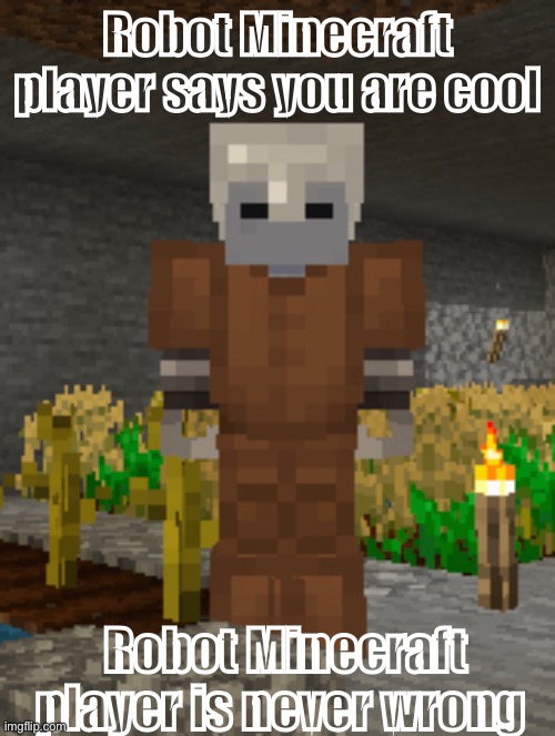:3 | Robot Minecraft player says you are cool; Robot Minecraft player is never wrong | made w/ Imgflip meme maker