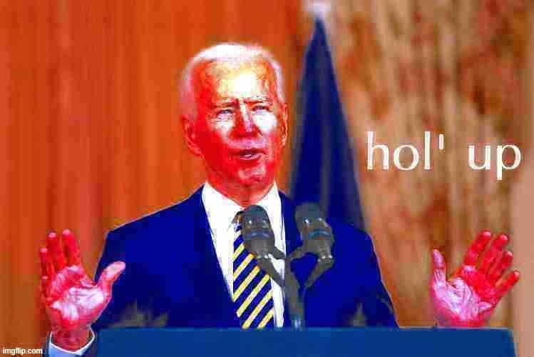 Fun w/ New Templates: Joe Biden Hol’ Up | image tagged in joe biden hol' up deep-fried 4,hol up,hold up,joe biden,biden,new template | made w/ Imgflip meme maker