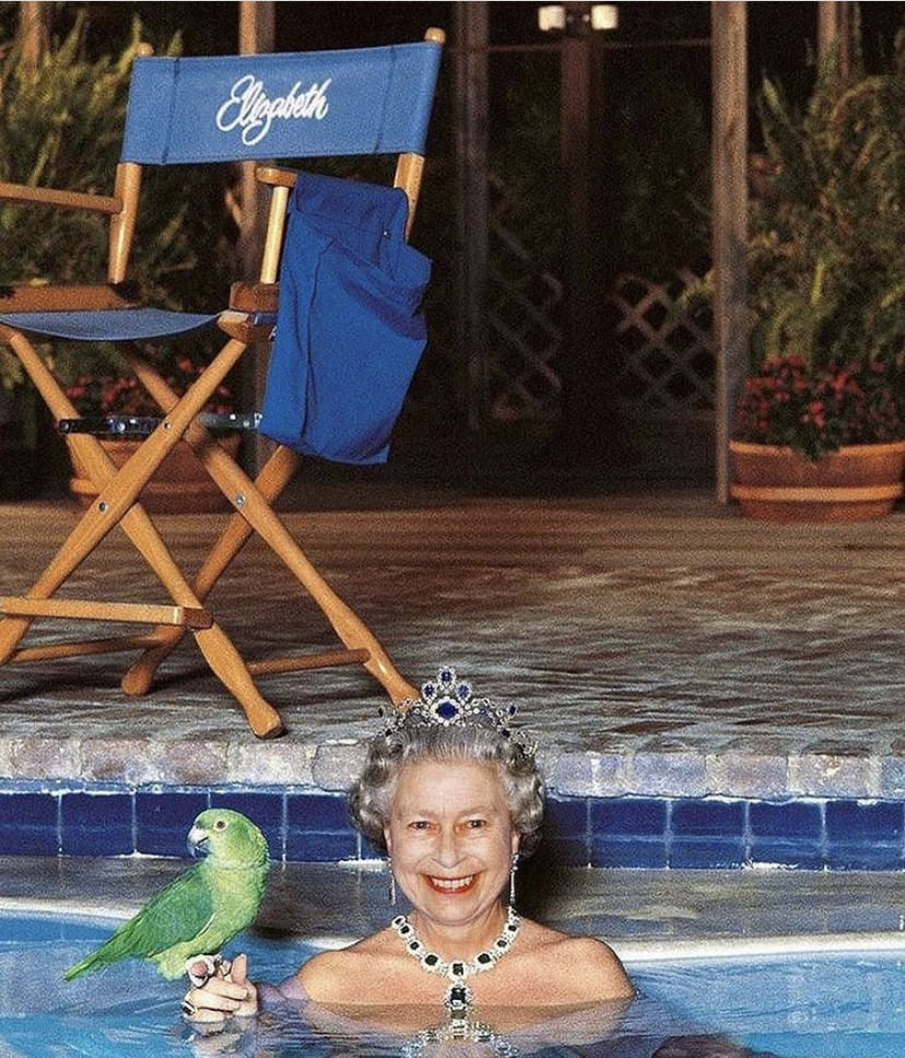 High Quality Queen Elizabeth in pool Blank Meme Template