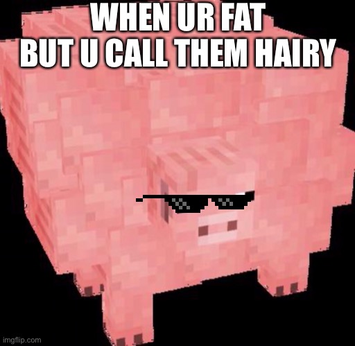 A chunky pig for your enjoyment | WHEN UR FAT BUT U CALL THEM HAIRY | image tagged in chunky,minecraft,pig | made w/ Imgflip meme maker