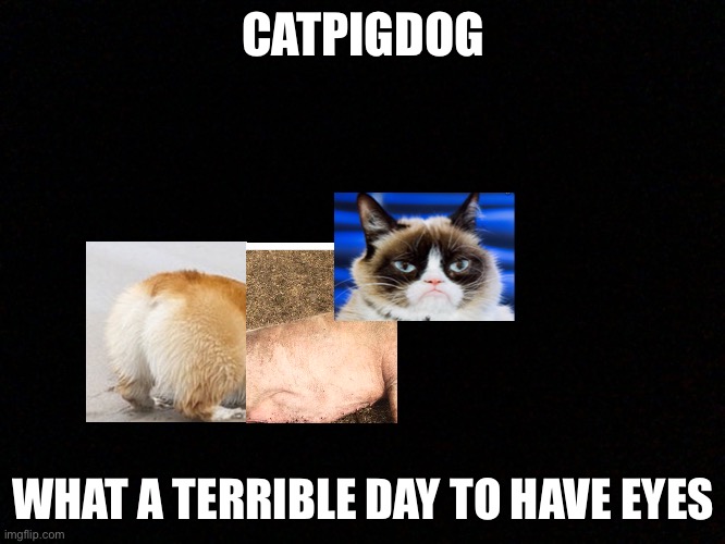 CATPIGDOG | CATPIGDOG; WHAT A TERRIBLE DAY TO HAVE EYES | image tagged in catpigdog | made w/ Imgflip meme maker