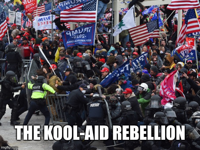The Kool-Aid Rebellion | THE KOOL-AID REBELLION | image tagged in trump,coup,capitol hill,maga | made w/ Imgflip meme maker