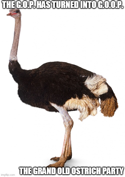 THE G.O.P. IS NOW THE G.O.O.P. | THE G.O.P. HAS TURNED INTO G.O.O.P. THE GRAND OLD OSTRICH PARTY | image tagged in goop | made w/ Imgflip meme maker