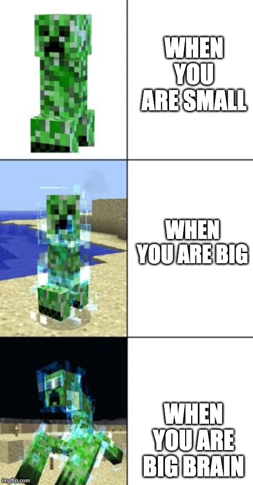 the heck | WHEN YOU ARE SMALL; WHEN YOU ARE BIG; WHEN YOU ARE BIG BRAIN | image tagged in minecraft creeper template,memes,funny memes,minecraft creeper | made w/ Imgflip meme maker