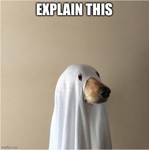 Ghost Doge | EXPLAIN THIS | image tagged in ghost doge | made w/ Imgflip meme maker