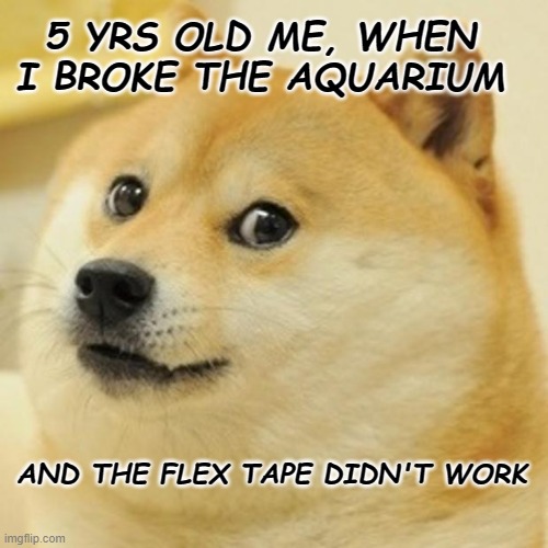 Doge | 5 YRS OLD ME, WHEN I BROKE THE AQUARIUM; AND THE FLEX TAPE DIDN'T WORK | image tagged in memes,doge | made w/ Imgflip meme maker