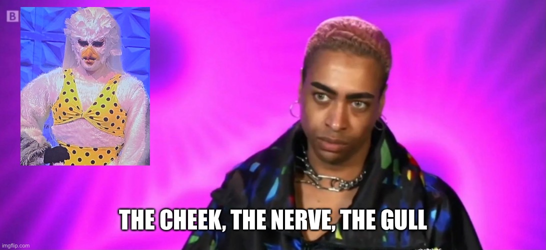 THE CHEEK, THE NERVE, THE GULL | image tagged in rupaul's drag race | made w/ Imgflip meme maker