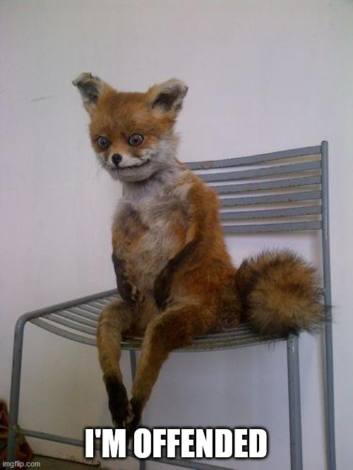 broke fox | I'M OFFENDED | image tagged in broke fox | made w/ Imgflip meme maker
