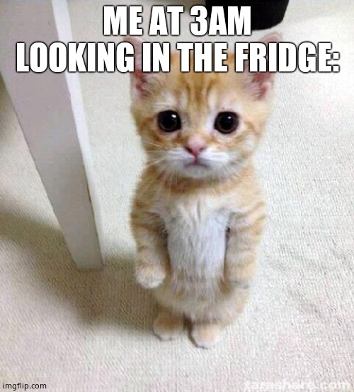 Cute Cat | ME AT 3AM LOOKING IN THE FRIDGE: | image tagged in memes,cute cat | made w/ Imgflip meme maker