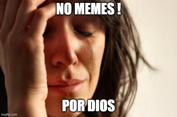 First World Problems | NO MEMES ! POR DIOS | image tagged in memes,first world problems | made w/ Imgflip meme maker