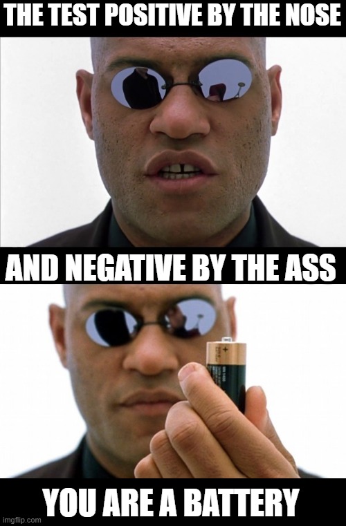 matrix morpheus | THE TEST POSITIVE BY THE NOSE; AND NEGATIVE BY THE ASS; YOU ARE A BATTERY | image tagged in motpheus,battery,test,2021,new test,matrix | made w/ Imgflip meme maker