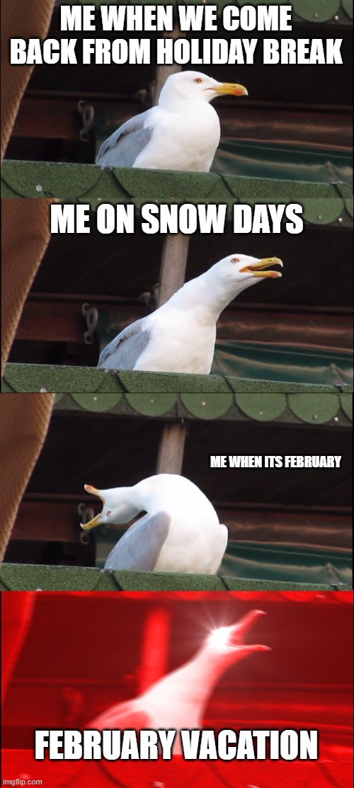 Inhaling Seagull | ME WHEN WE COME BACK FROM HOLIDAY BREAK; ME ON SNOW DAYS; ME WHEN ITS FEBRUARY; FEBRUARY VACATION | image tagged in memes,inhaling seagull | made w/ Imgflip meme maker