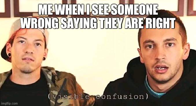 visible confusion | ME WHEN I SEE SOMEONE WRONG SAYING THEY ARE RIGHT | image tagged in visible confusion | made w/ Imgflip meme maker