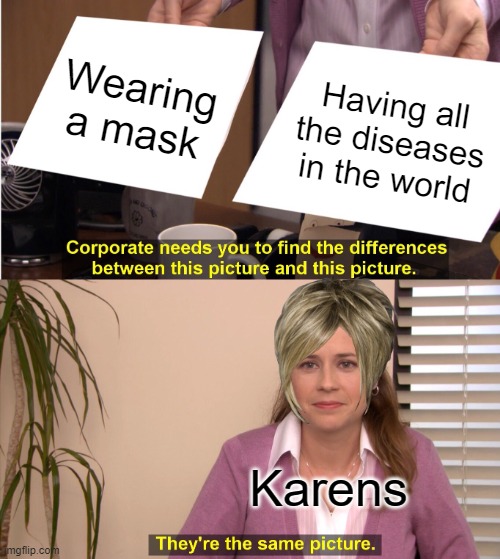 They're The Same Picture Meme | Wearing a mask; Having all the diseases in the world; Karens | image tagged in memes,they're the same picture | made w/ Imgflip meme maker