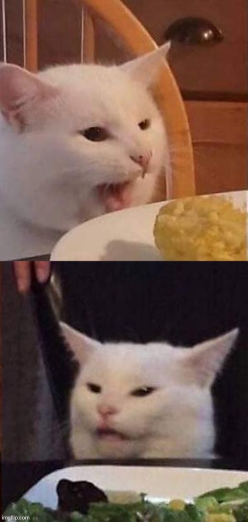 This is Smudge, the cat from the lady screaming at cat meme, Im just giving random memes informations | made w/ Imgflip meme maker