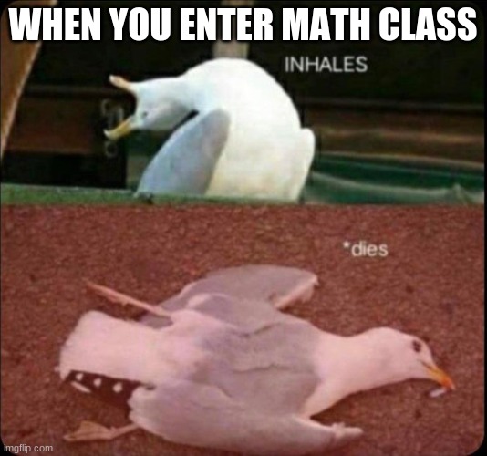 inhales dies bird | WHEN YOU ENTER MATH CLASS | image tagged in inhales dies bird | made w/ Imgflip meme maker