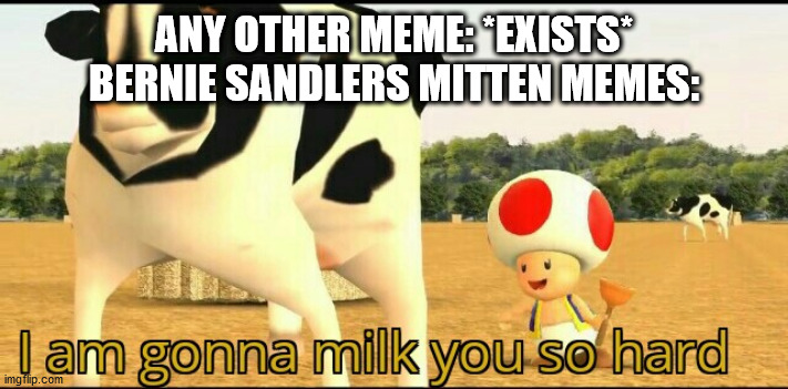 I am gonna milk you so hard | ANY OTHER MEME: *EXISTS*
BERNIE SANDLERS MITTEN MEMES: | image tagged in i am gonna milk you so hard | made w/ Imgflip meme maker