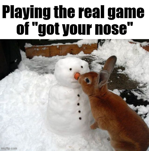 Playing the real game 
of "got your nose" | image tagged in bunnies | made w/ Imgflip meme maker